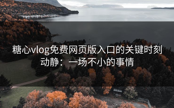 糖心vlog免费网页版入口的关键时刻动静：一场不小的事情