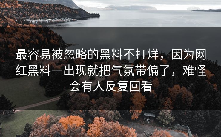 最容易被忽略的黑料不打烊，因为网红黑料一出现就把气氛带偏了，难怪会有人反复回看
