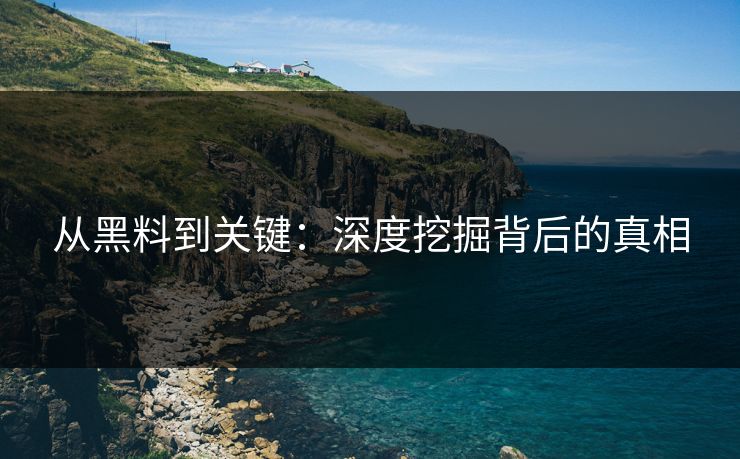 从黑料到关键:深度挖掘背后的真相 从黑料到关键:深度挖掘背后的真相