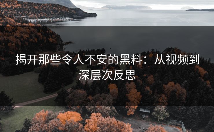 揭开那些令人不安的黑料:从视频到深层次反思