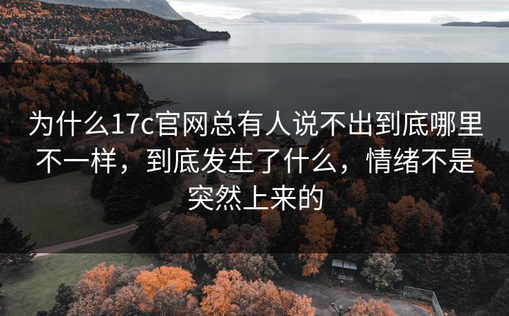 为什么<strong>17C</strong>官网总有人说不出到底哪里不一样，到底发生了什么，情绪不是突然上来的